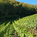 La Cabana'l Cachican