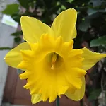La Cabana´l Cachican