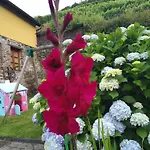 La Cabana´l Cachican *