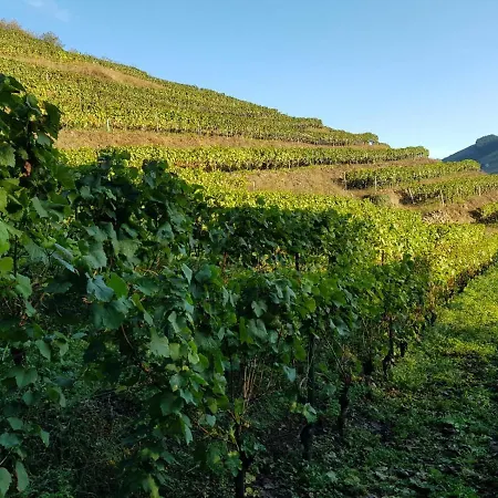 La Cabana'l Cachican Apartment