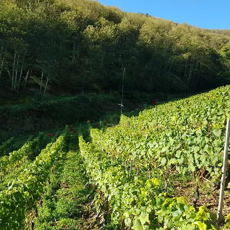 La Cabana'l Cachican