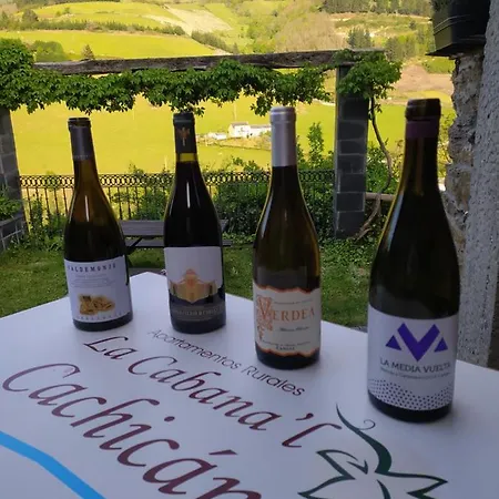 La Cabana'l Cachican Apartment Cangas De Narcea