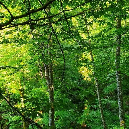 La Cabana'l Cachican * Cangas De Narcea