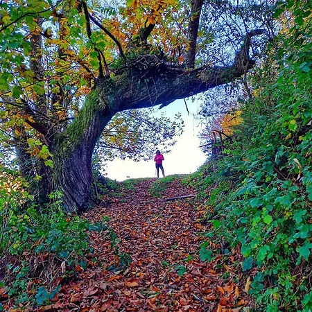 La Cabana'l Cachican Cangas De Narcea