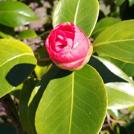 Apartment La Cabana'l Cachican *