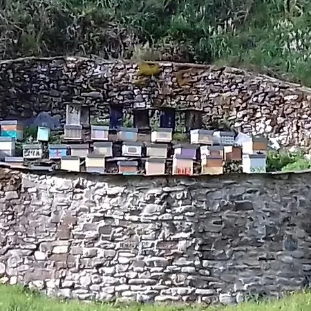 Apartment La Cabana'l Cachican