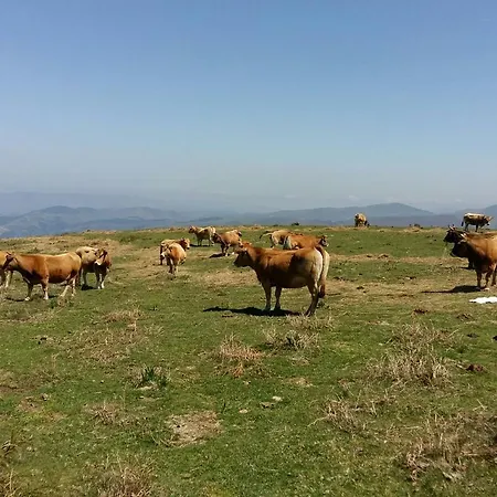 La Cabana'l Cachican Cangas De Narcea