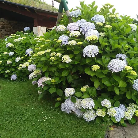 La Cabana'l Cachican *