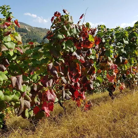 La Cabana'l Cachican Apartment Cangas De Narcea