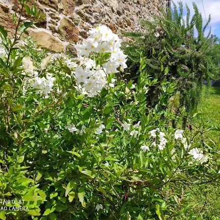 La Cabana'l Cachican